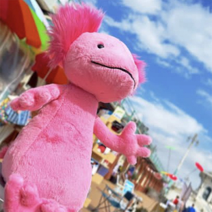 英国jellycat六角恐龙毛绒公仔 蝾螈玩偶艾丽丝美西钝口螈Axolotl