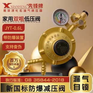 先锋新国标家用煤气双嘴减压阀液化气防爆安全燃气灶热水器低压阀