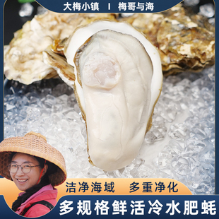 【大梅小镇】肥美生蚝鲜活新鲜海蛎子7斤海牡蛎包肥包鲜