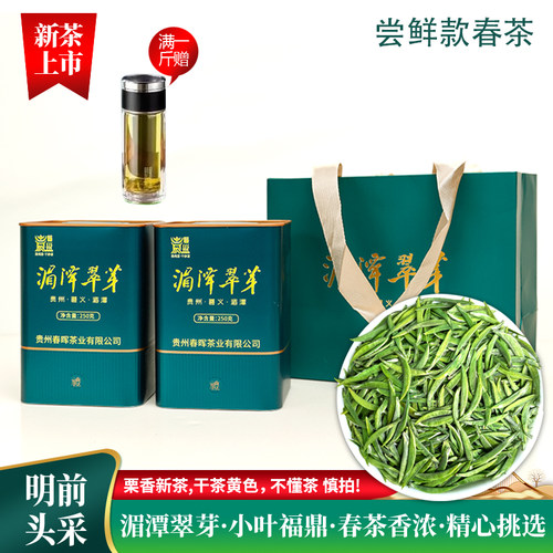 正宗湄潭翠芽特级2026新茶源产地