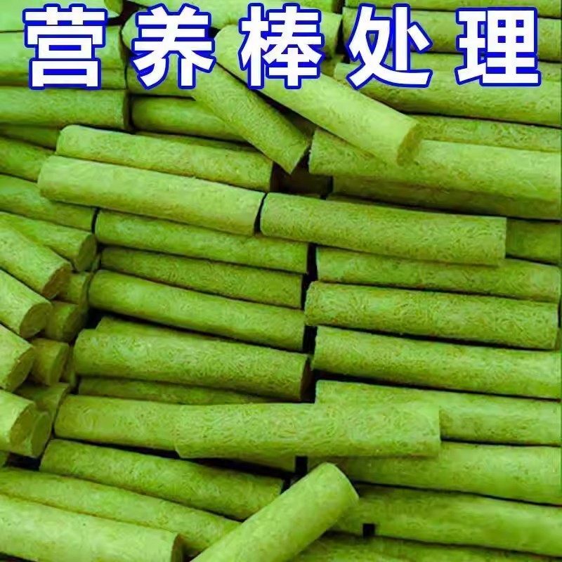 小白家用养花种花室内盆栽懒人花肥料栀子花专用缓释营养棒,鲜花速递/花卉仿真/绿植园艺,家庭园艺肥料,淘宝优惠券,粉丝福利购,淘宝优惠卷