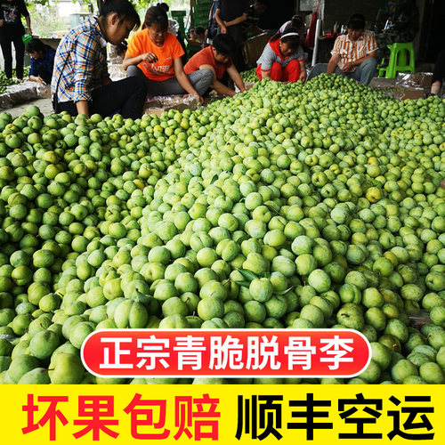 顺丰脱骨李青脆李子重庆新鲜水果