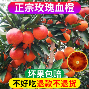 顺丰玫瑰血橙新鲜橙子水果塔罗科雪橙四川重庆甜果冻红心手剥香橙