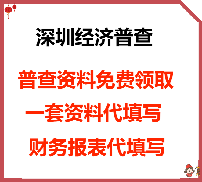 全国经济普查表代填代写指导填写财务报表利润表填写 商务/设计服务 工商注册 原图主图