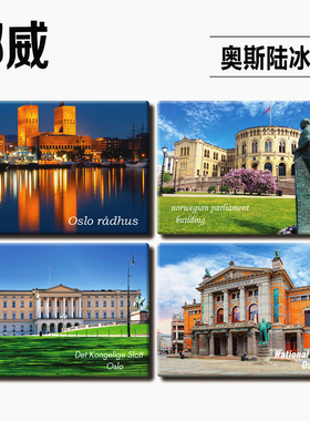 挪威旅游纪念品创意冰箱贴磁性贴