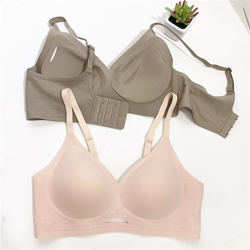 集中文胸无钢托乳胶垫舒适聚拢