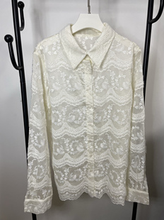 2025新款国风蕾丝轻奢天丝羽毛纱线上衣新中式设计衬衫女空调罩衫