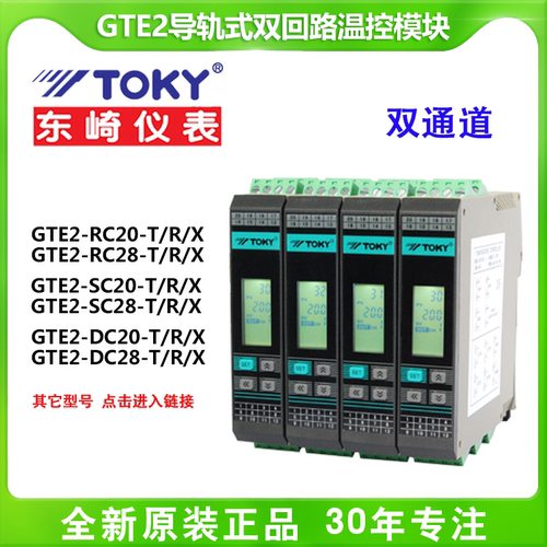 GTE2-DC28-T双通道温控模块TOKY