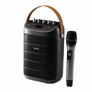 漫步者（EDIFIER）PK305 便携式户外移动音箱配话筒 ktv音响 K歌