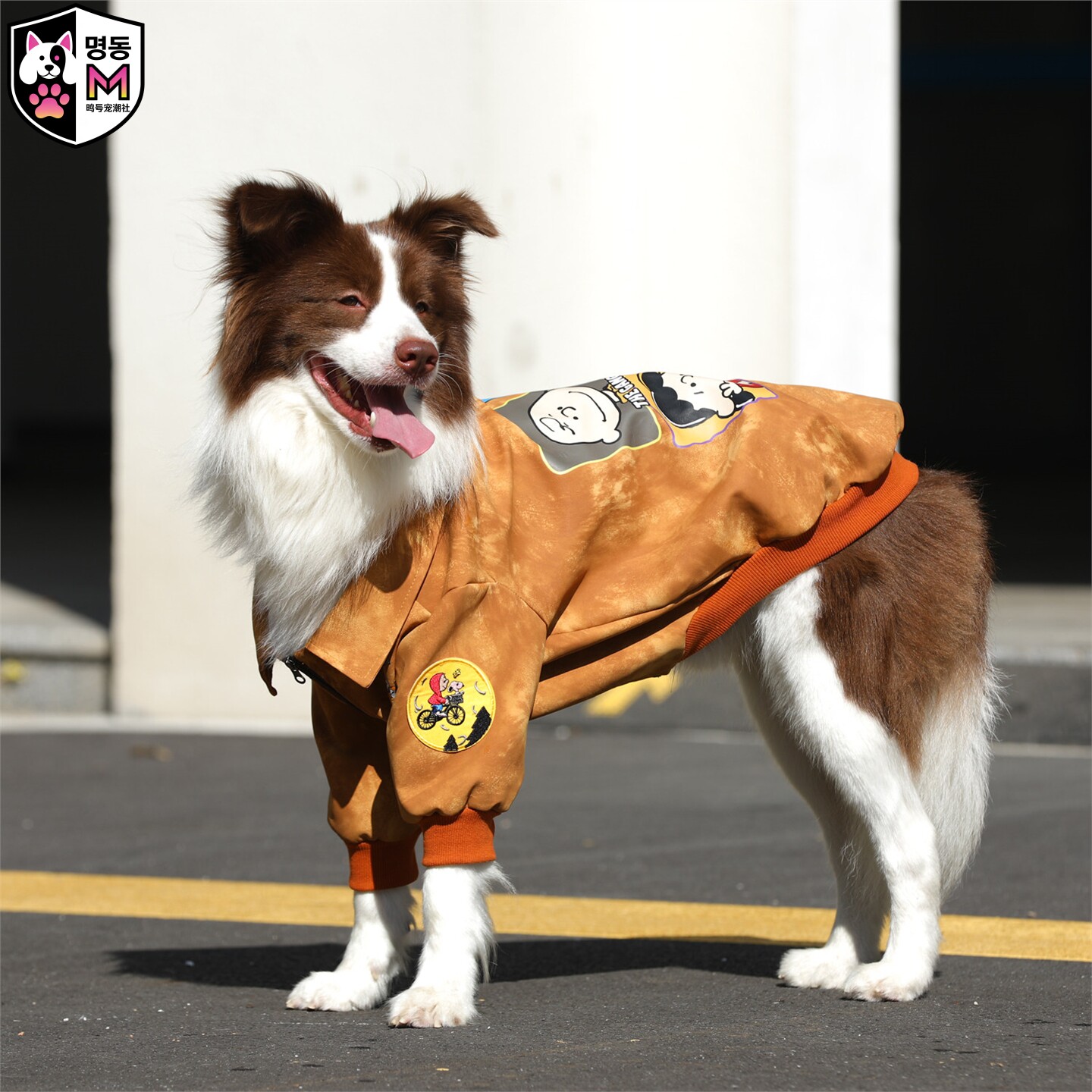 韩国明洞秋冬大型犬皮衣外套