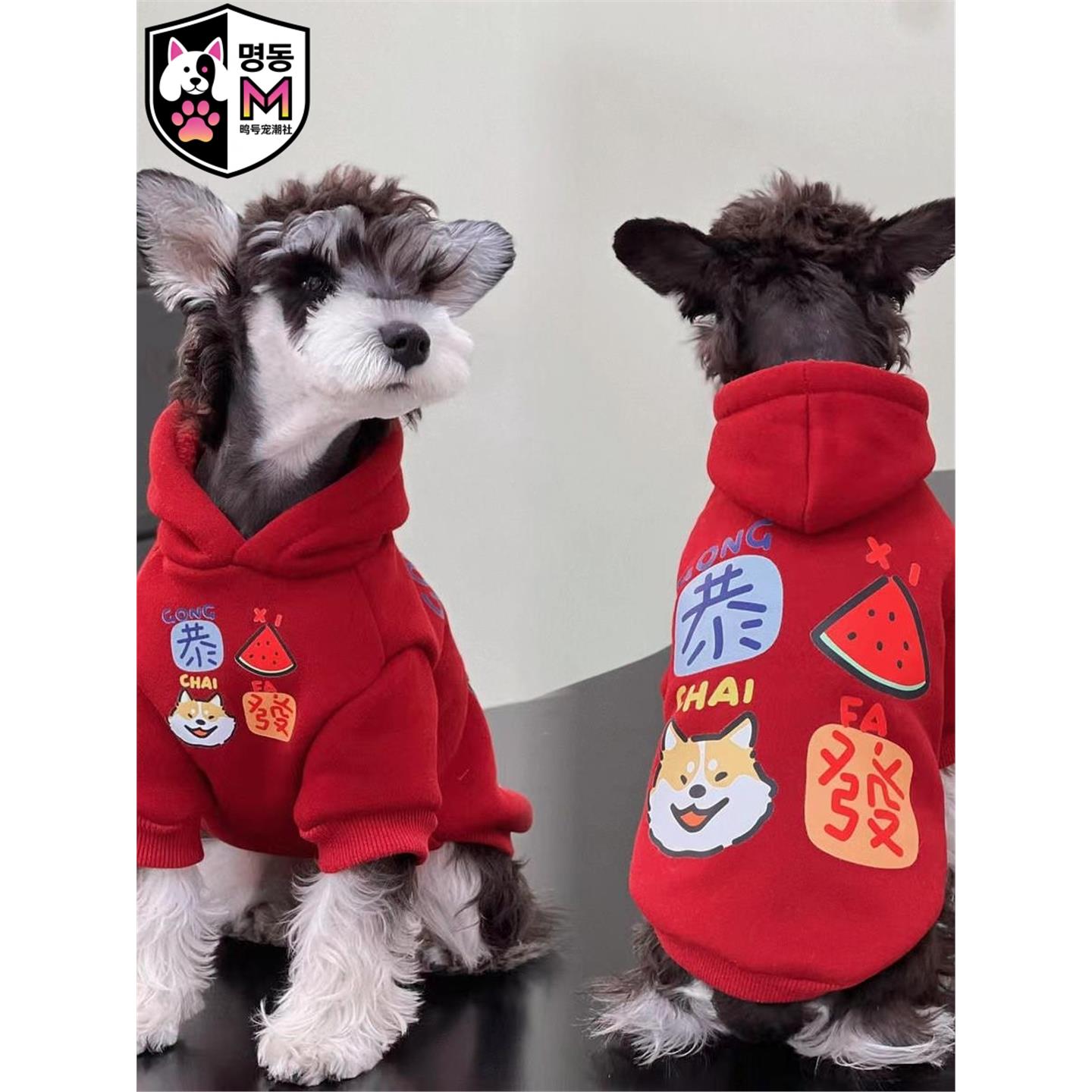 明洞加绒保暖泰迪连帽狗衣服