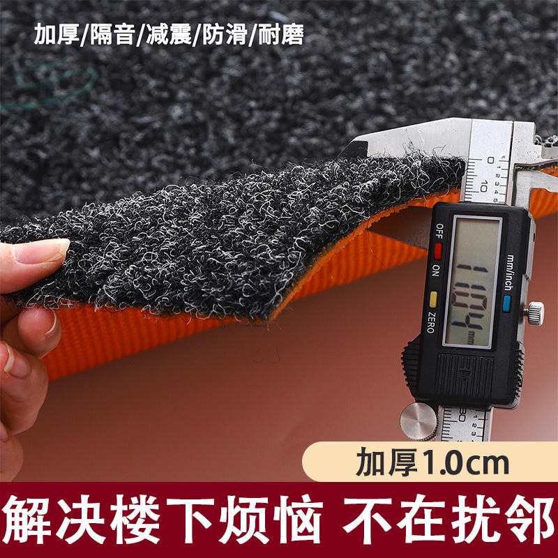 B1阻燃地毯TPE天鹅绒家用进门脚垫防火毯商用加厚满铺隔音地垫子