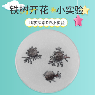 铁树开花化学结晶实验 学生科技小制作diy材料包 儿童益智小发明
