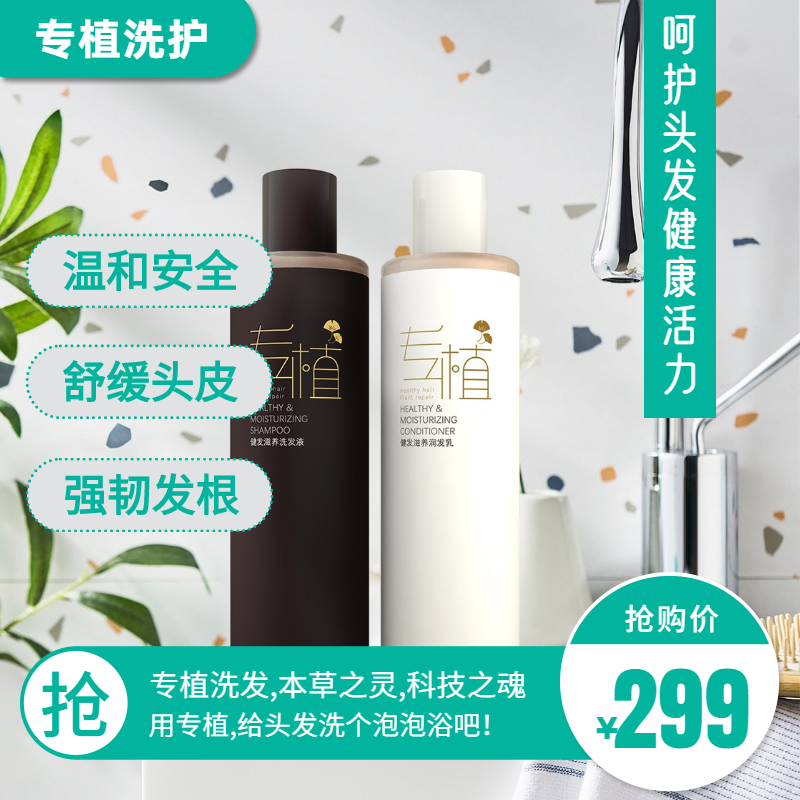 正品专植健发滋养套装洗发液润发乳生发增发防脱去屑控油变黑增亮