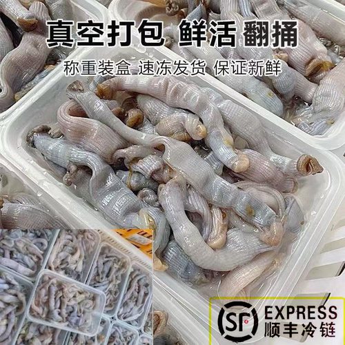 东山岛新鲜活沙虫现杀沙蚕土笋冻