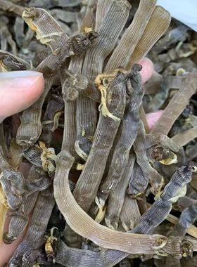 黑沙虫干野生方格星虫孕妇滋补儿童鱼干营养煲粥光裸星虫海肠顺丰