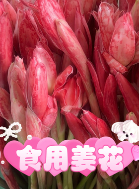 叻沙花Laksa火炬姜食用花卉叻沙咖喱花Bunga Kantan 娘惹菜叻沙花