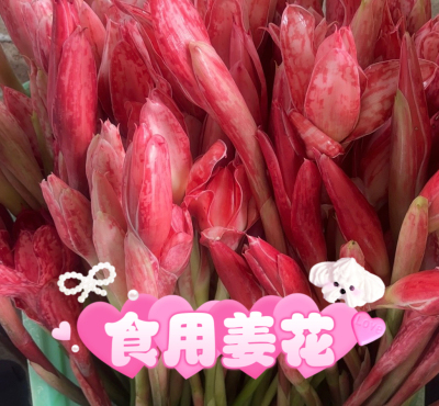 叻沙花Laksa火炬姜食用花卉叻沙咖喱花Bunga Kantan 娘惹菜叻沙花