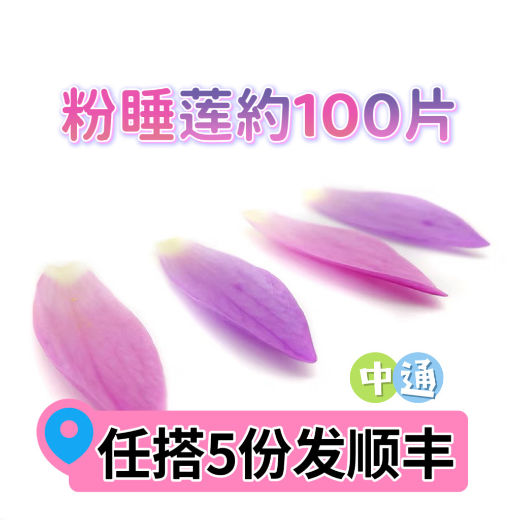 睡莲花瓣荷花酒店西餐摆盘装饰