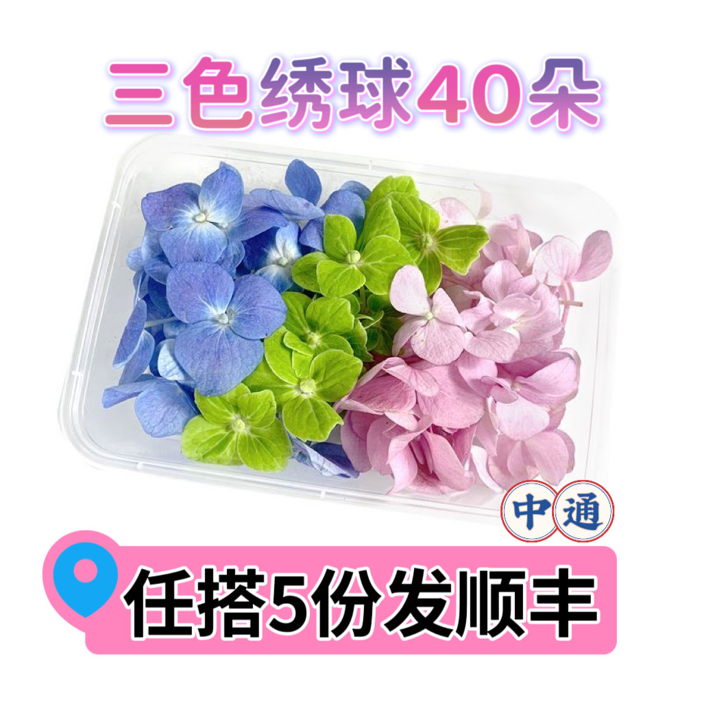 三色绣球花瓣酒店西餐日料烘焙花草摆盘装饰点缀