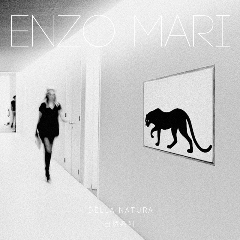 ENZO MARI 黑豹 现代极简北欧风格装饰画客厅巨幅大尺寸挂画