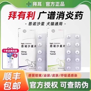 拜有利风味片犬恩诺沙星片宠物尿闭泌尿感染猫鼻支猫咪感冒消炎药