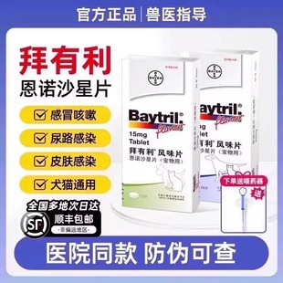 拜有利恩诺沙星猫用风味片狗狗尿路感染消炎猫鼻支猫咪消炎药感冒
