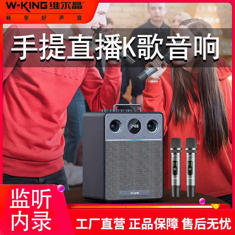 维尔晶T6 户外K歌音响无线话筒路演直播乐器弹唱声卡一体移动音箱