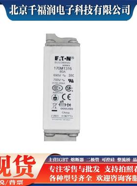 170M1316 170M1317 170M1318 快速熔断器 高压熔断器熔丝 千福润
