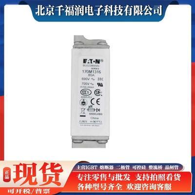 170M1316 170M1317 170M1318 快速熔断器 高压熔断器熔丝 千福润
