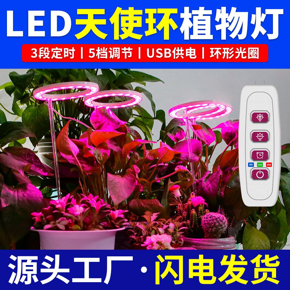 谦润照明LED植物灯三色发光天使环植物灯2835全光谱育苗种植灯USB