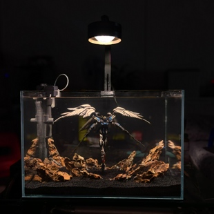 万代自由元祖小米鱼缸废墟高达鱼缸场景破镜战损mg机甲鱼缸造景