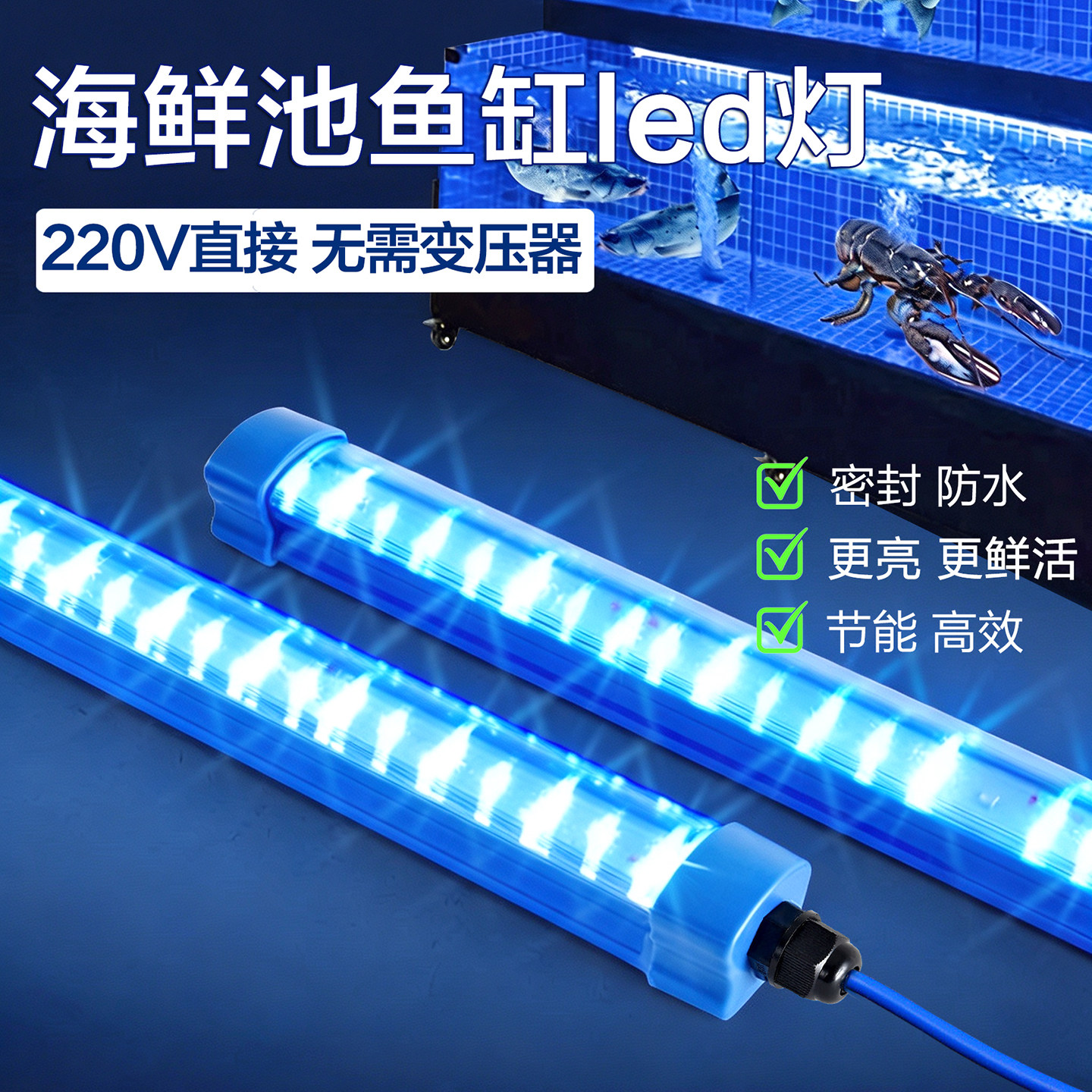 聘源海鲜池专用新品礼金