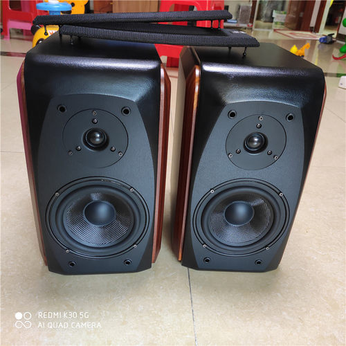 丹麦Vifa威发书架音箱6.5寸