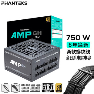 追风者AMP全模组ATX3.0电源GH750/850/1000W金牌日系电容蟒纹线梳