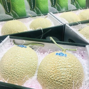 现货国产静冈皇蜜瓜2个装高端礼盒顺丰空运包邮