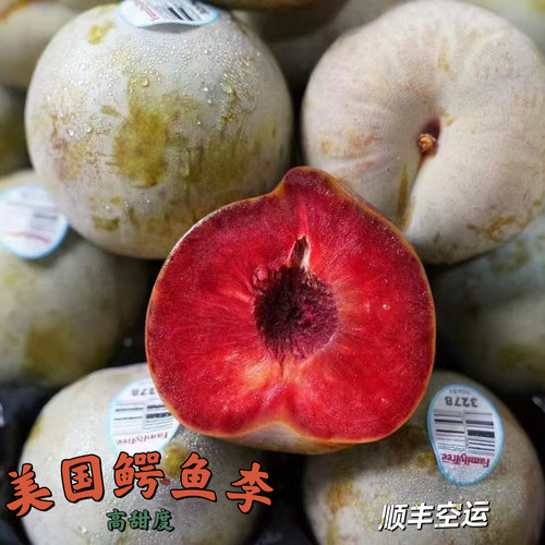 美国鳄鱼李3斤4斤礼盒新鲜水果红肉杏李风味浓郁顺丰包邮