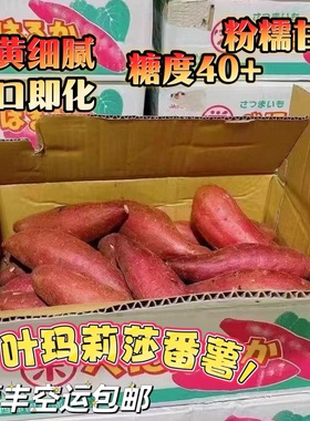 正宗千叶玛莉莎甘薯细腻甜度高地瓜新鲜红薯无筋顺丰空运包邮
