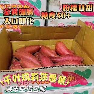 正宗千叶玛莉莎甘薯细腻甜度高地瓜新鲜红薯无筋顺丰空运包邮