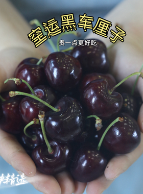 智利空运车厘子桑提娜品种精选樱桃2斤装礼盒顺丰空运包邮