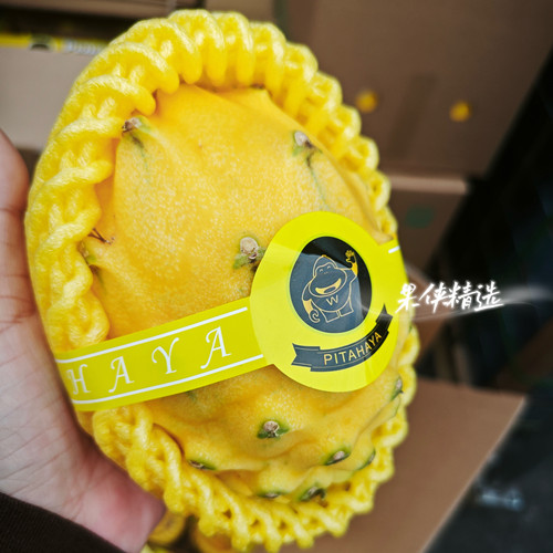 麒麟燕窝果礼盒装新鲜水果当季现摘现发