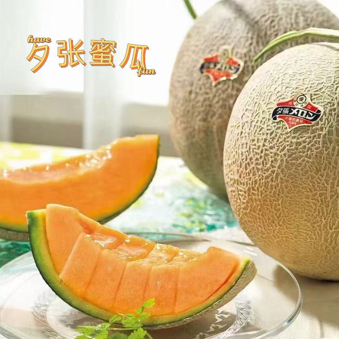 夕张蜜瓜北海道品种网纹瓜顺丰包邮