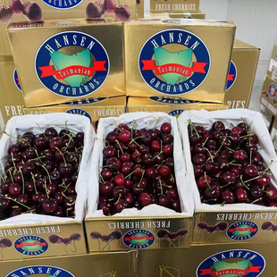 澳洲塔斯马尼亚汉森车厘子4斤礼盒空运车厘子顺丰空运包邮