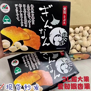 爱知银杏果3L白果500g一盒装超大果顺丰包邮