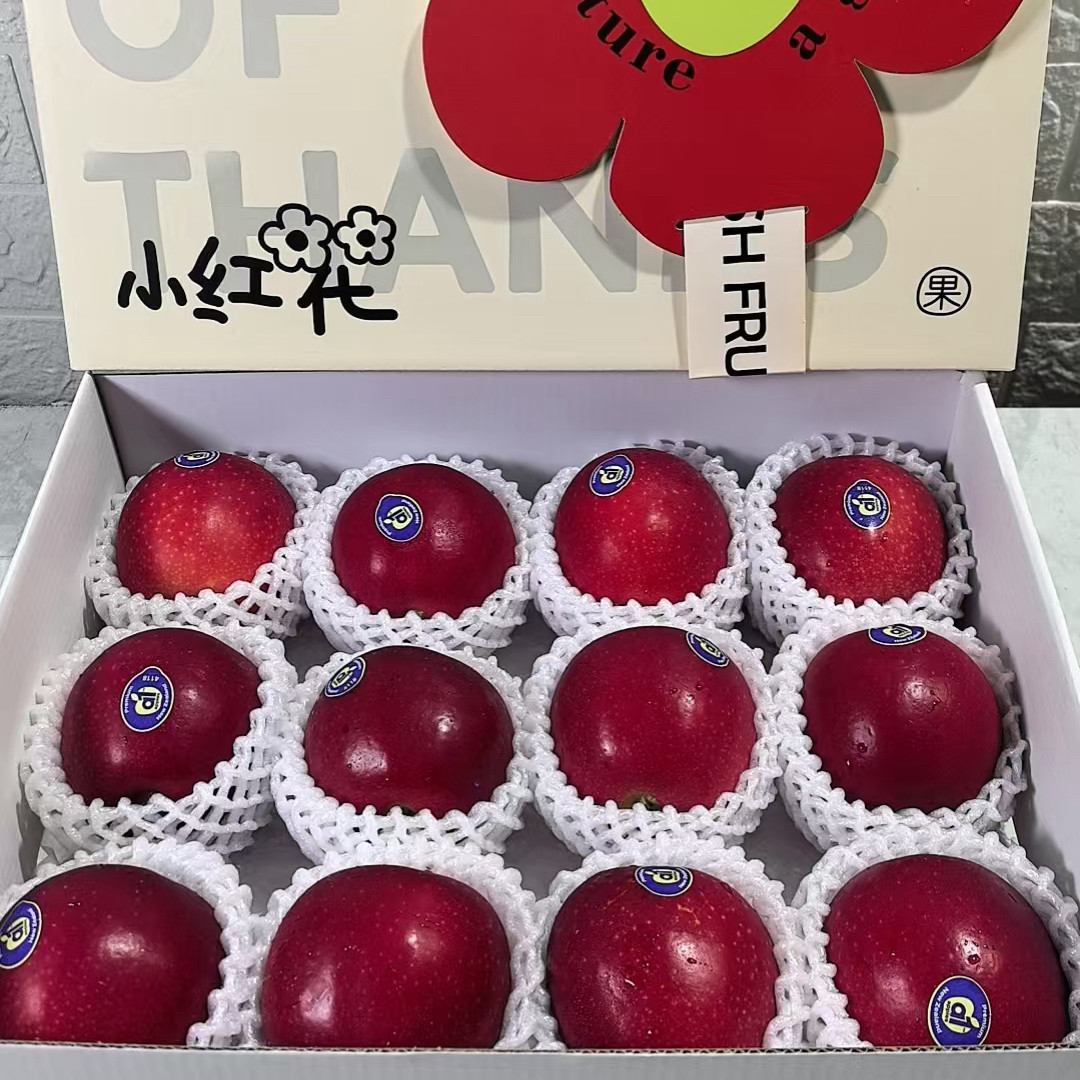 新西兰红玫瑰苹果12颗礼盒装脆苹果