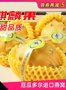 现货麒麟果2斤3~4个超甜燕窝果 黄色火龙果 新鲜水果顺丰包邮
