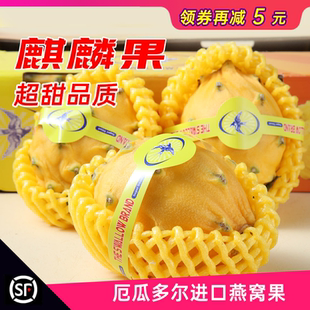 现货麒麟果2斤3~4个超甜燕窝果 黄色火龙果 新鲜水果顺丰包邮