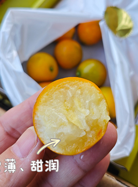 脆蜜金柑金橘3斤装6A8A装礼盒顺丰包邮