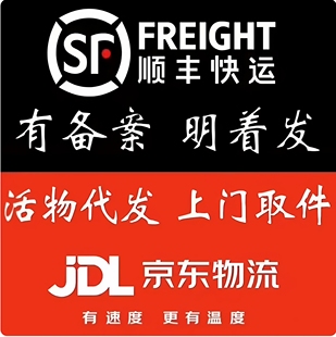 全国活体寄乌龟鱼活物代寄鹦鹉仓鼠守宫宠物快递上门活体代发明发