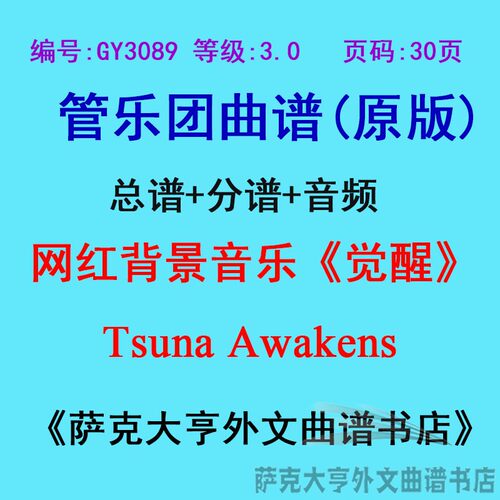 3.0级网红背景觉醒总谱